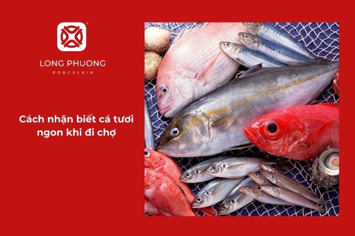 Nhận biết cá tươi ngon khi mua