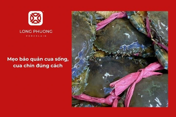 Mẹo bảo quản cua sống, cua chín đúng cách