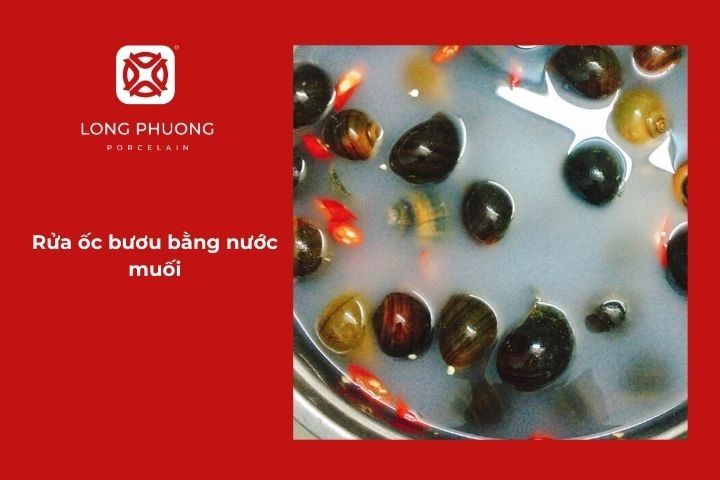 Rửa ốc bươu bằng nước muối