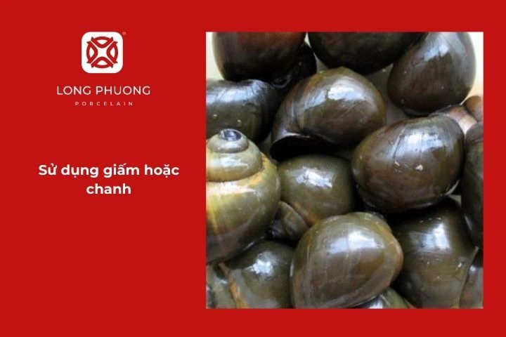 Sử dụng giấm hoặc chanh
