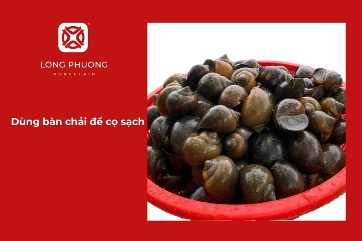 Dùng bàn chải mềm để cọ sạch ốc bươu