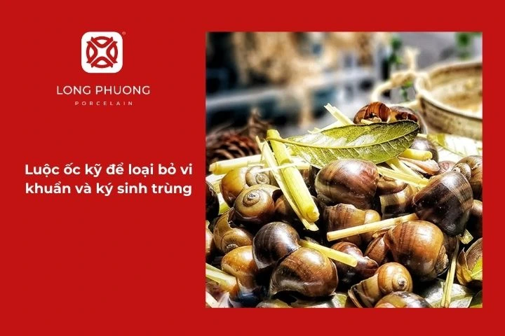 Luộc ốc kỹ để loại bỏ vi khuẩn