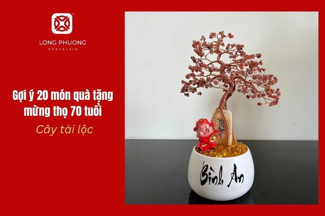 mua cây tài lộc mừng thọ người cao tuổi