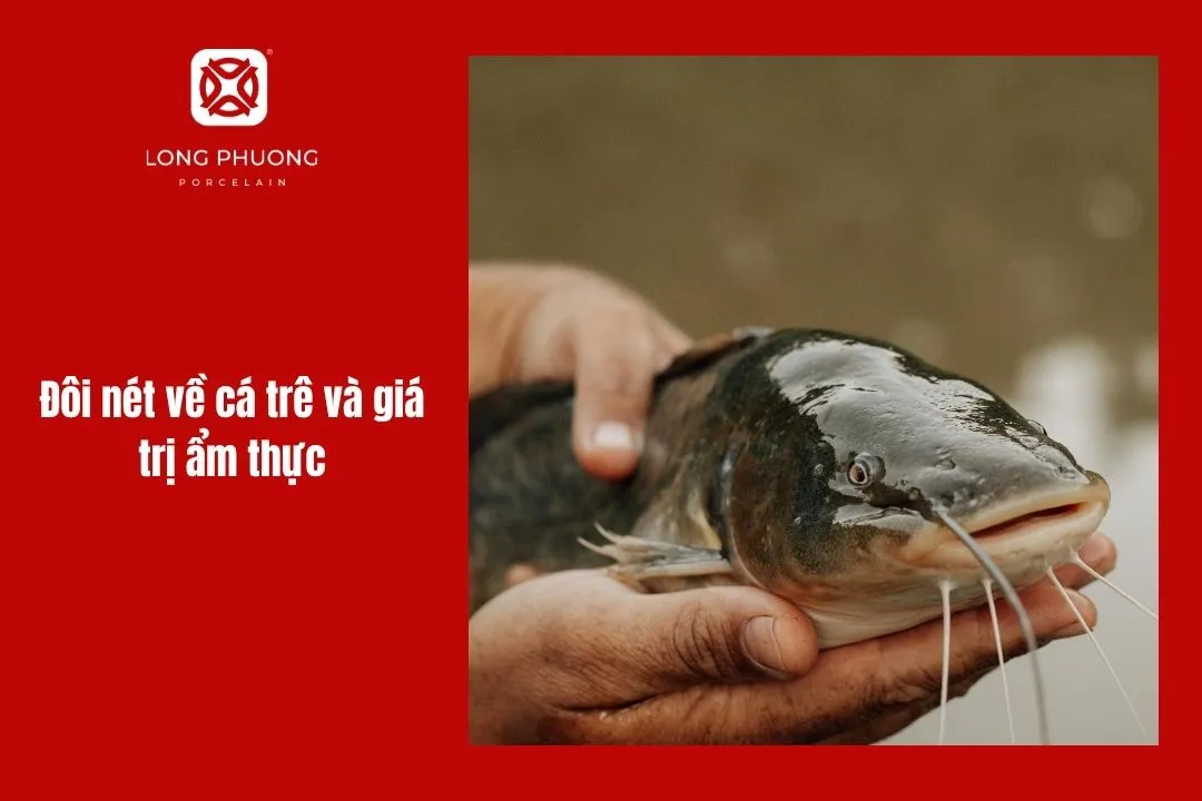 gợi ý cá trê nấu gì ngon