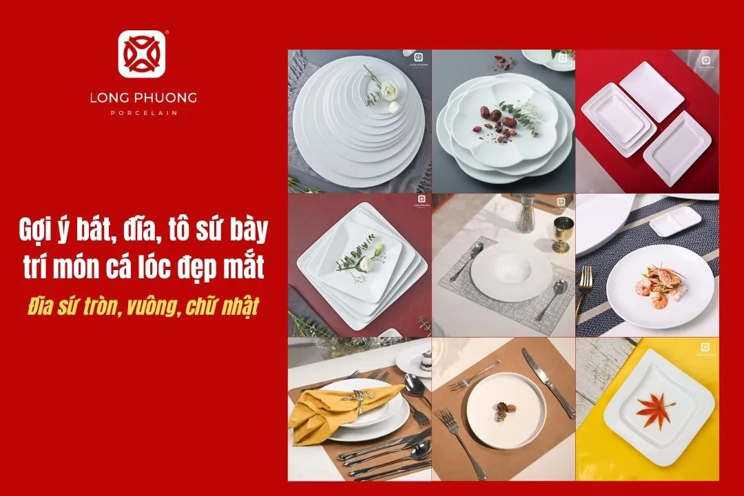 đĩa sứ độc đáo bày món ngon mỗi ngày