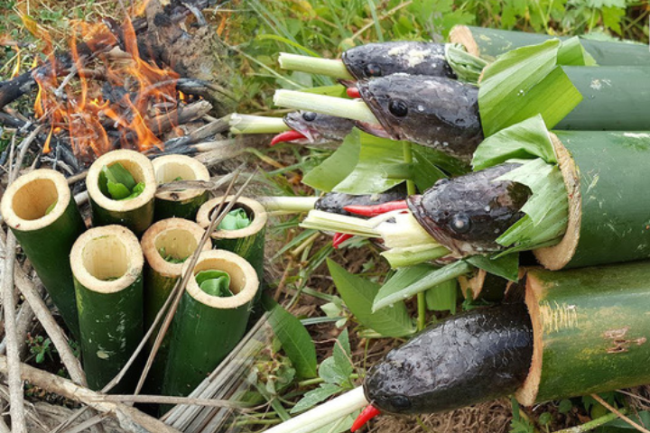 Cách làm cá lóc nướng ống tre ngon chuẩn miền Tây