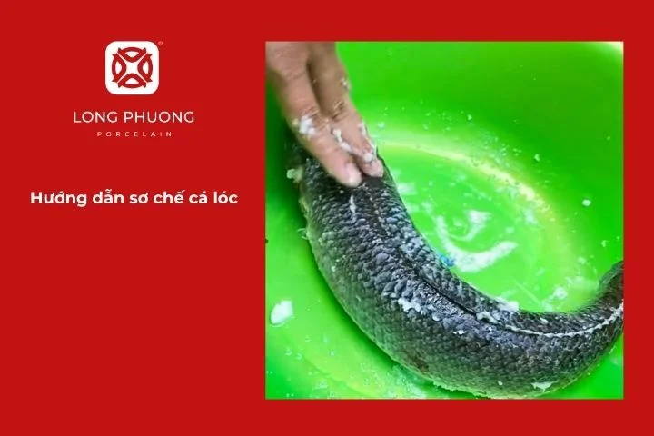 Hướng đẫn sơ chế cá lóc