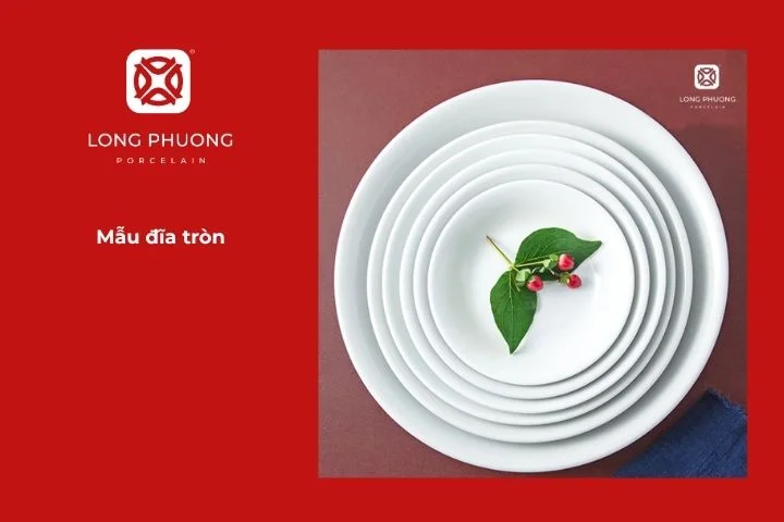 Đĩa tròn trắng tinh tế, làm nổi bật màu cam hồng của cá hồi