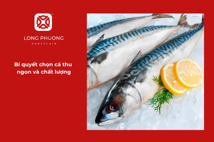 Quan sát những đặc điểm trên để nhận biết cá thu còn tươi ngon hay không