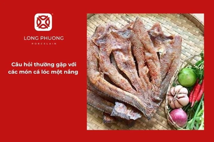 Câu hỏi thường gặp