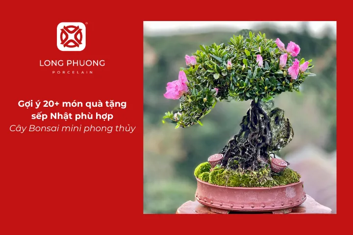Nên tặng quà gì cho sếp Nhật? Cây Bonsai mini là một gợi ý thẩm mỹ và ấn tượng