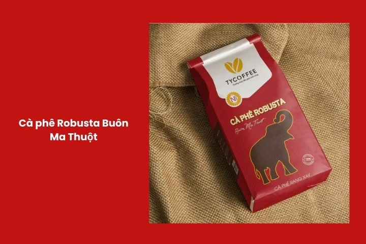 Cà phê robusta đặc sản Buôn Ma Thuột