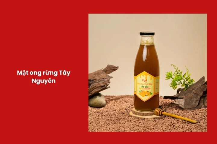 Mật ong rừng nguyên chất từ Tây Nguyên
