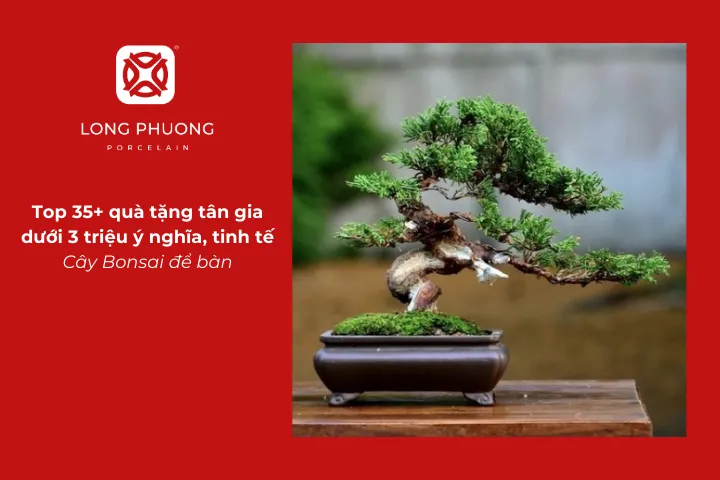 Cây bonsai để bàn là quà tặng tân gia dưới 3 triệu nhỏ gọn giúp không gian thêm sinh động và hài hòa
