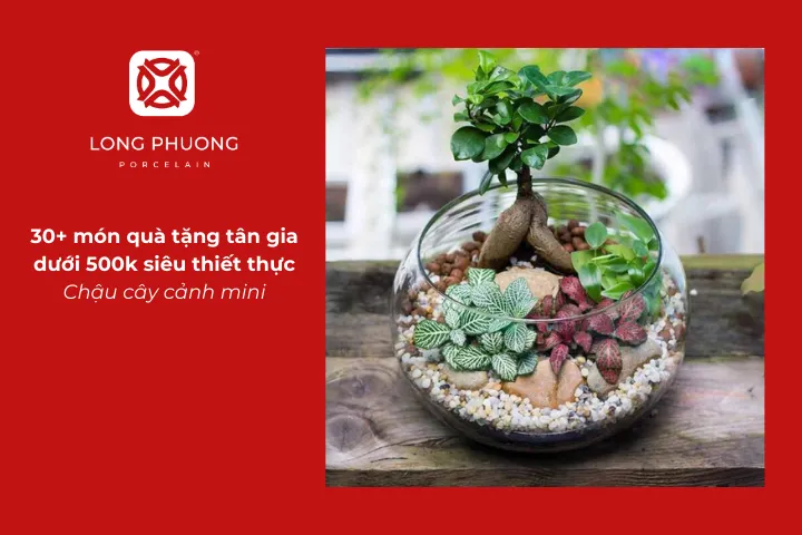 Chậu cây cảnh mini góp phần tạo sự tươi mới cho ngôi nhà mới