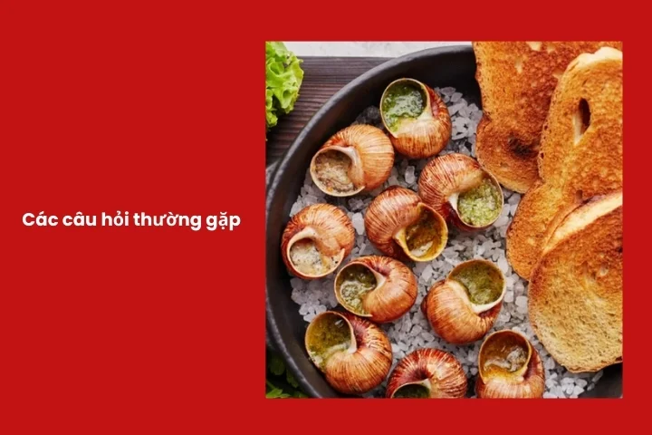 Escargot là gì? Những thắc mắc phổ biến về escargot và ốc sên Pháp