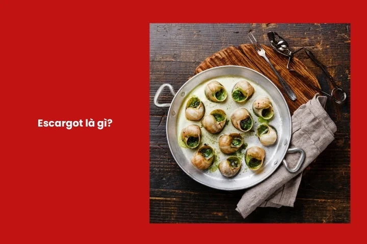 Giải thích escargot là loại ốc sên ăn được trong ẩm thực Pháp