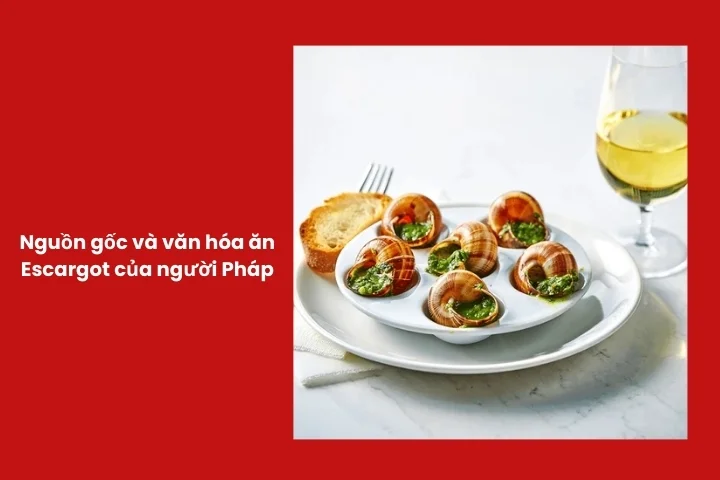 Escargot là gì? Văn hóa thưởng thức ốc sên Pháp trong các bữa tiệc truyền thống