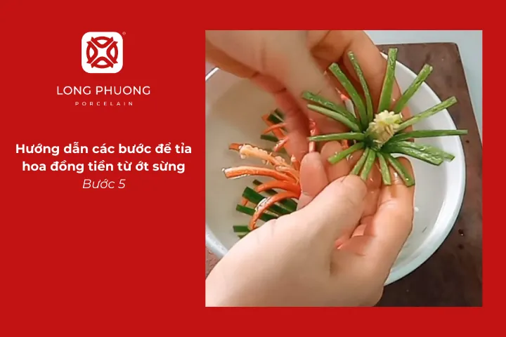 Hoa đồng tiền từ ớt sừng xòe cánh đẹp mắt