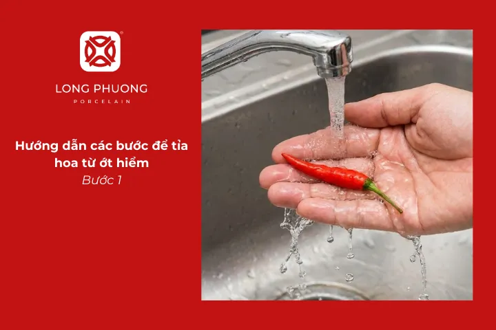 Rửa sạch ớt hiểm rồi để cho ráo nước