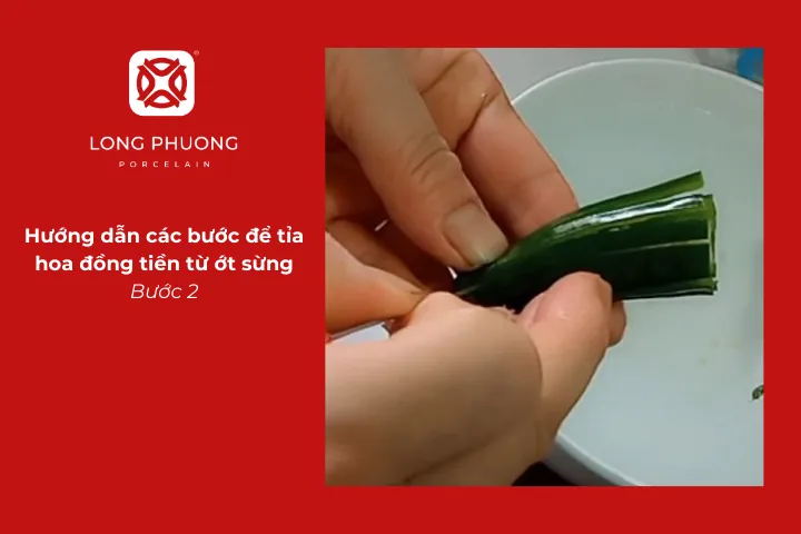 Dùng mũi dao rạch các đường thẳng từ thân tới đầu cuống