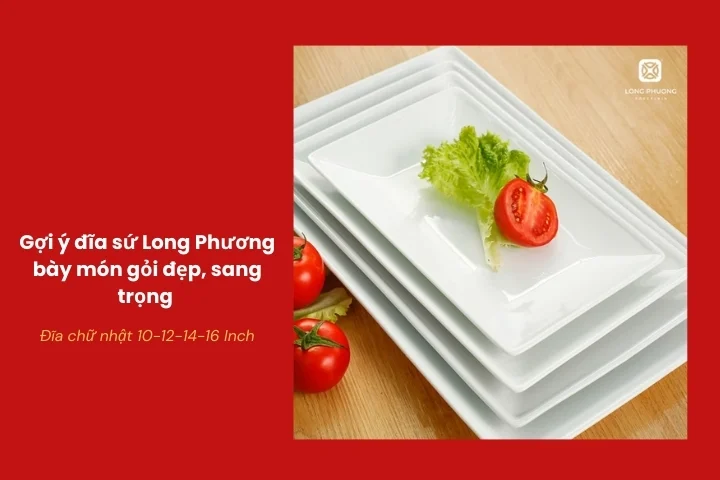 Đĩa chữ nhật sứ bày gỏi cuốn và gỏi xếp lớp