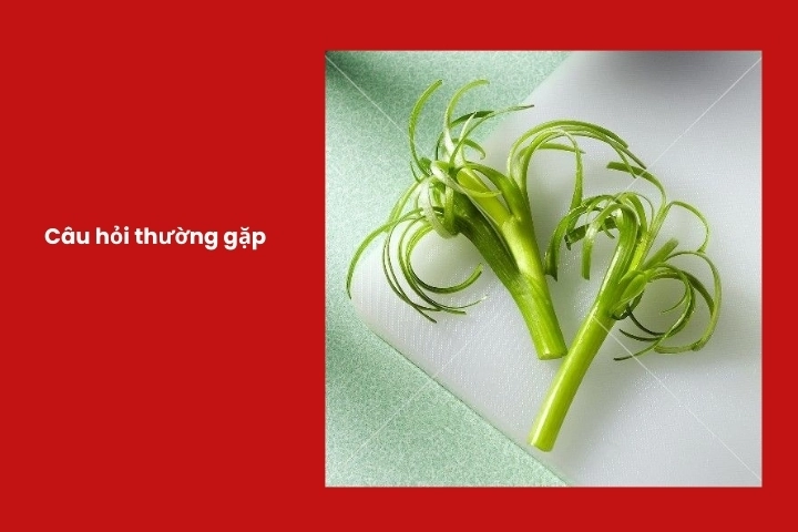 Tổng hợp câu hỏi thường gặp
