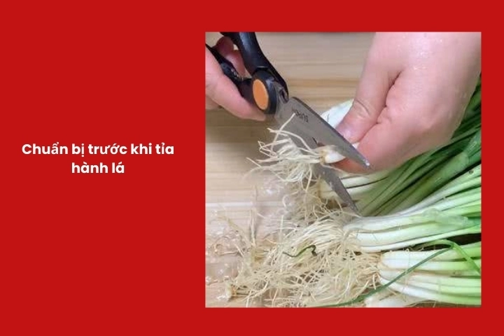 Các dụng cụ và nguyên liệu cần chuẩn bị trước khi thực hiện cách tỉa hành lá