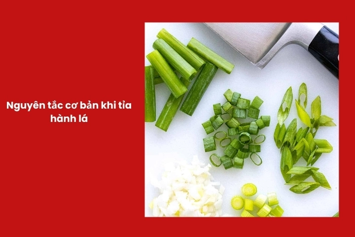 Những nguyên tắc quan trọng giúp tỉa hành lá đẹp và không bị dập
