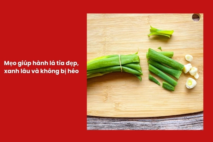 Mẹo bảo quản và giữ hành lá xanh lâu sau khi tỉa
